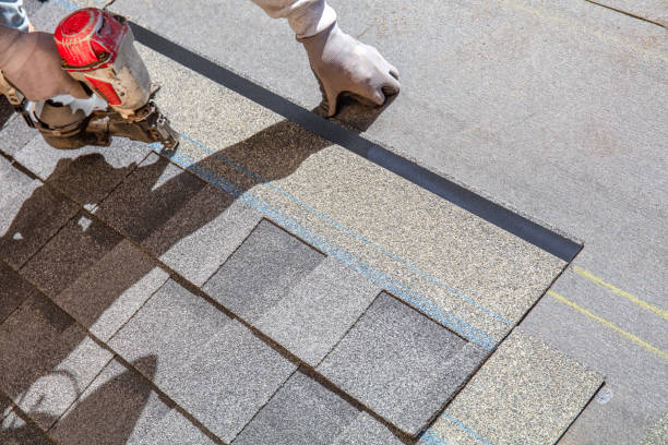 Best Roof Maintenance Services  in Star Valley, AZ